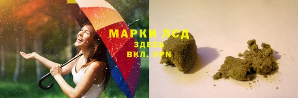 стаф Верея