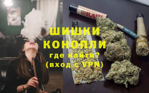 стаф Верея