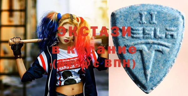 стаф Верея