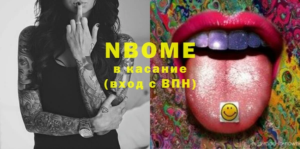 стаф Верея