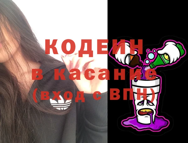 стаф Верея