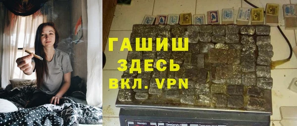 стаф Верея