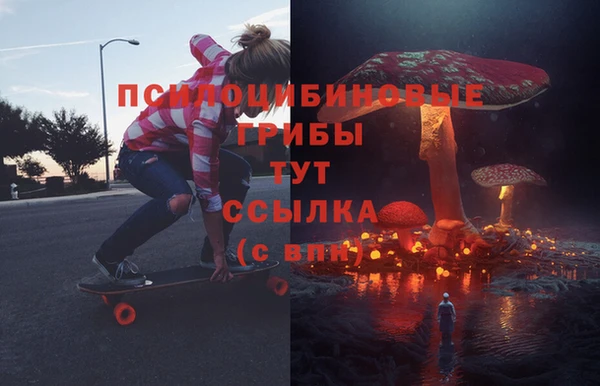 PSILOCYBIN Усолье-Сибирское