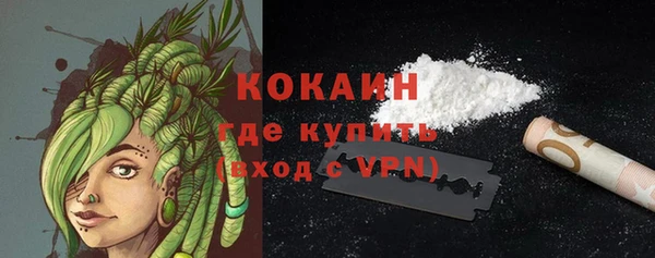 стаф Верея