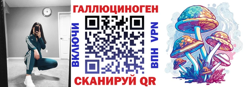 Галлюциногенные грибы мицелий  Катав-Ивановск 